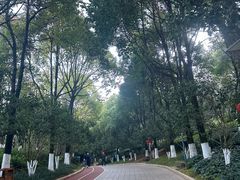 -洛龙公园