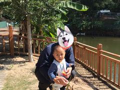 -泉州海丝野生动物世界