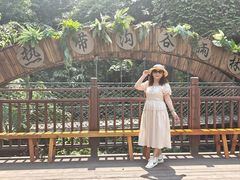 -西双版纳原始森林公园