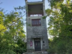 -大亚湾红树林城市湿地公园