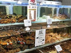 -超级物种·波龙工坊(国贸店)
