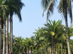 -海南文笔峰盘古文化旅游区