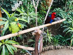 -南宫五洲植物乐园