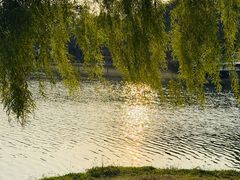 -东莞植物园
