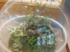 -友谊超市(友谊商城店)