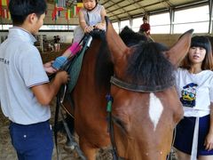-月河湾马术俱乐部(朝阳店)