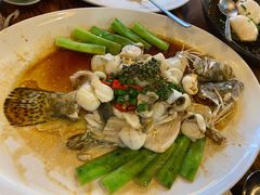 鲜花椒蒸桂花鲈-猪肉婆私房菜(容桂总店)
