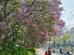 -马凯餐厅(长椿街店)