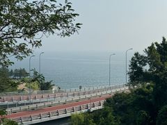-星海湾跨海大桥