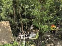 -北仑森林植物园
