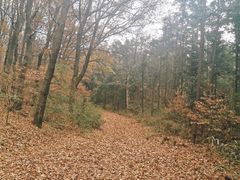 -句容茅山景区