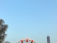 -武汉知音号