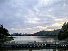 -顺峰山公园