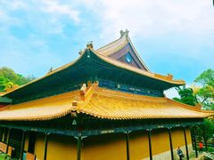 -杭州植物园