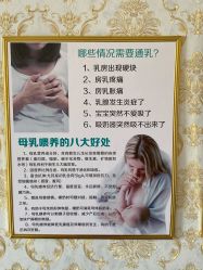 -瑞晨曦催乳产后健康(枣园店)