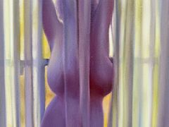 -胶囊画廊