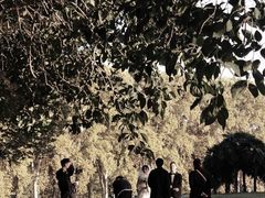 -河南省黄河迎宾馆