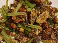 -小俩口烧烤东北菜(双井店)