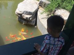 -武清南湖绿博园