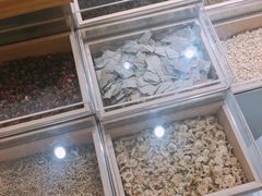门面-叶子与茶(苏宁广场店)