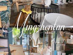 -喵屿·大理花园猫咖