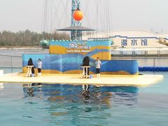 -秦皇岛乐岛海洋王国