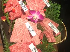-松阪牛焼肉M(法善寺横丁店)