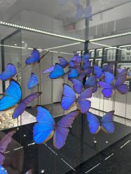 -酷嗒动物文化乐园(cutezoo西溪乐天城店)