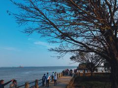 -南沙十九涌渔人码头-南门