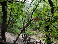-天津盘山风景名胜区