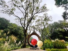 -缙云山景区