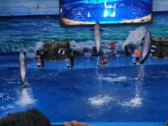 -多彩贵州城极地海洋世界