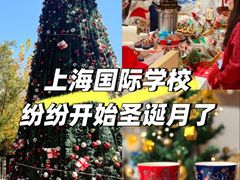 -上海德威外籍人员子女学校(浦东校区)