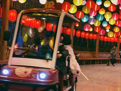 -郑州方特梦幻王国