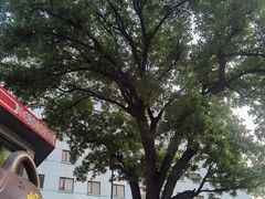 -和平宾馆(王府井店)