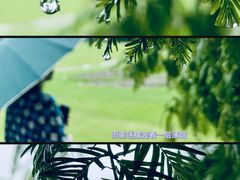 -上海滨江森林公园