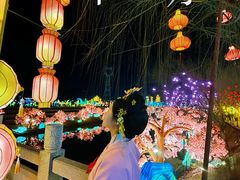 -淄博花灯齐彩城