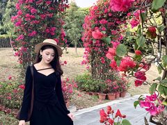 -东莞植物园