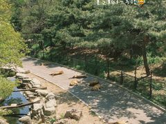 -大连森林动物园