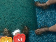 -龙脉温泉室内游泳馆