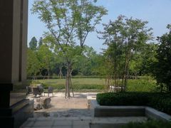 -太湖饭店玉兰厅(自助餐厅)