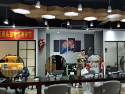 -心联形象设计·流星染