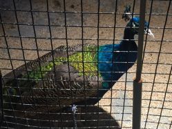 -酷嗒动物文化乐园(cutezoo西溪乐天城店)