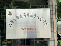 -马陆小张葡萄园农家乐