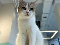 -怪兽屋·羊驼·猫咖·狗咖(俊华广场店)