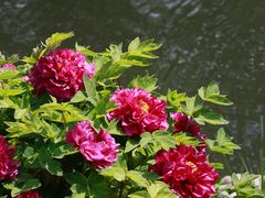 -三里河公园