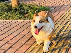 -万达广场(南宁青秀店)