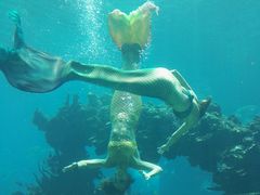 -海棠湾洲际-涛·海底餐厅·美人鱼·自助餐·海底隧道