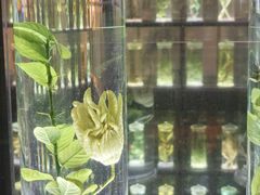 -广东中医药博物馆