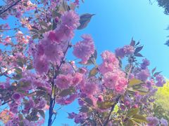 -长白岛森林公园